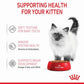 Royal Canin Dry & Instinctive Wet Food Combo For Kitten - 2 kg