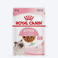 Royal Canin Dry & Instinctive Wet Food Combo For Kitten - 2 kg