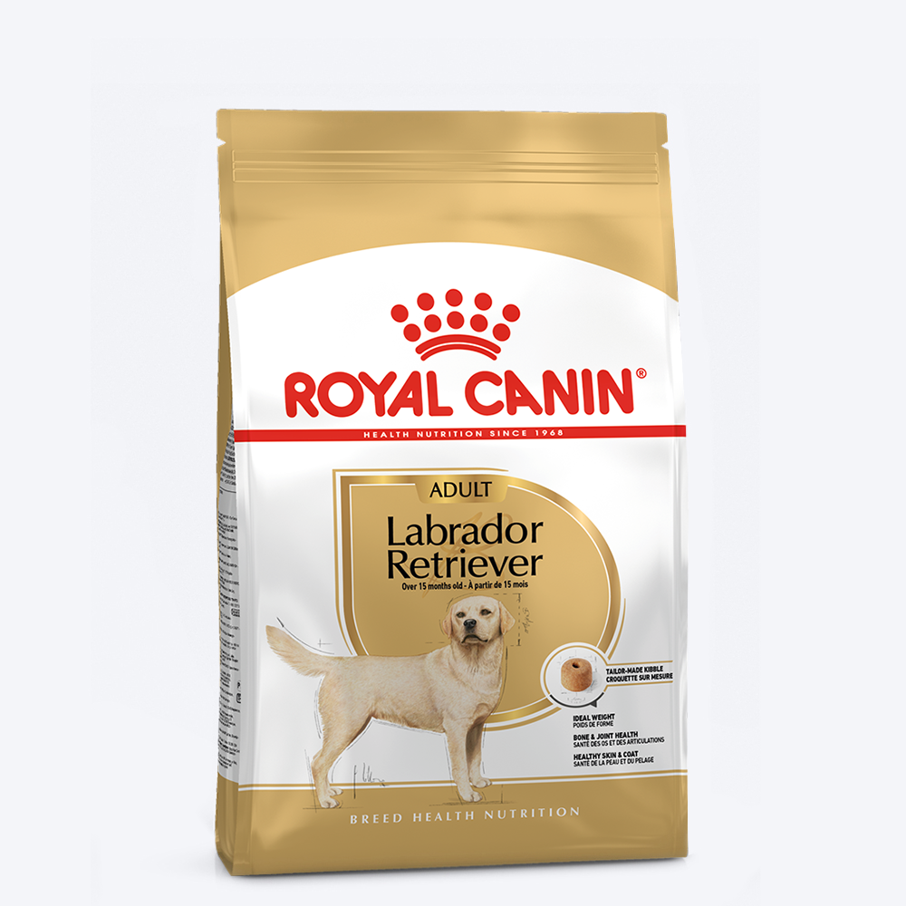 Royal Canin Labrador Retriever Dry Food & YIMT Apple & Banana Biscuits For Adult Dogs - Heads Up For Tails