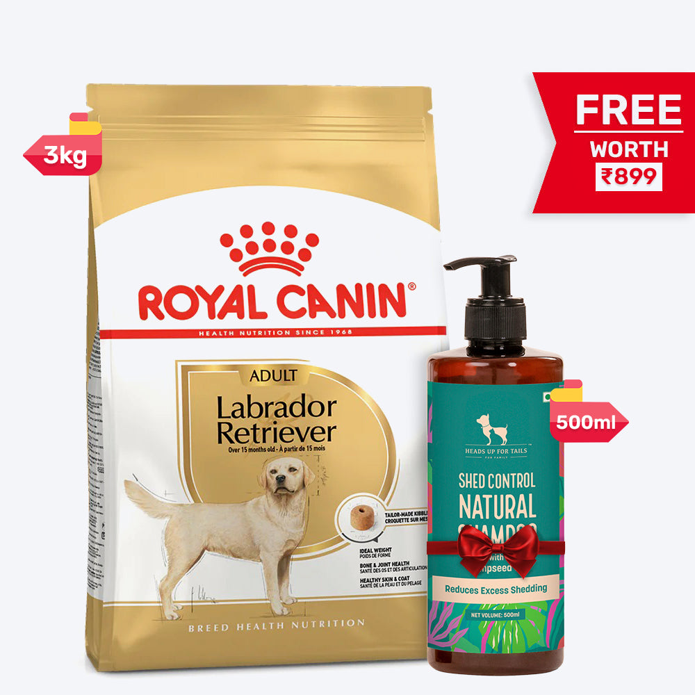 Royal Canin Labrador Retriever Adult Dry Dog Food