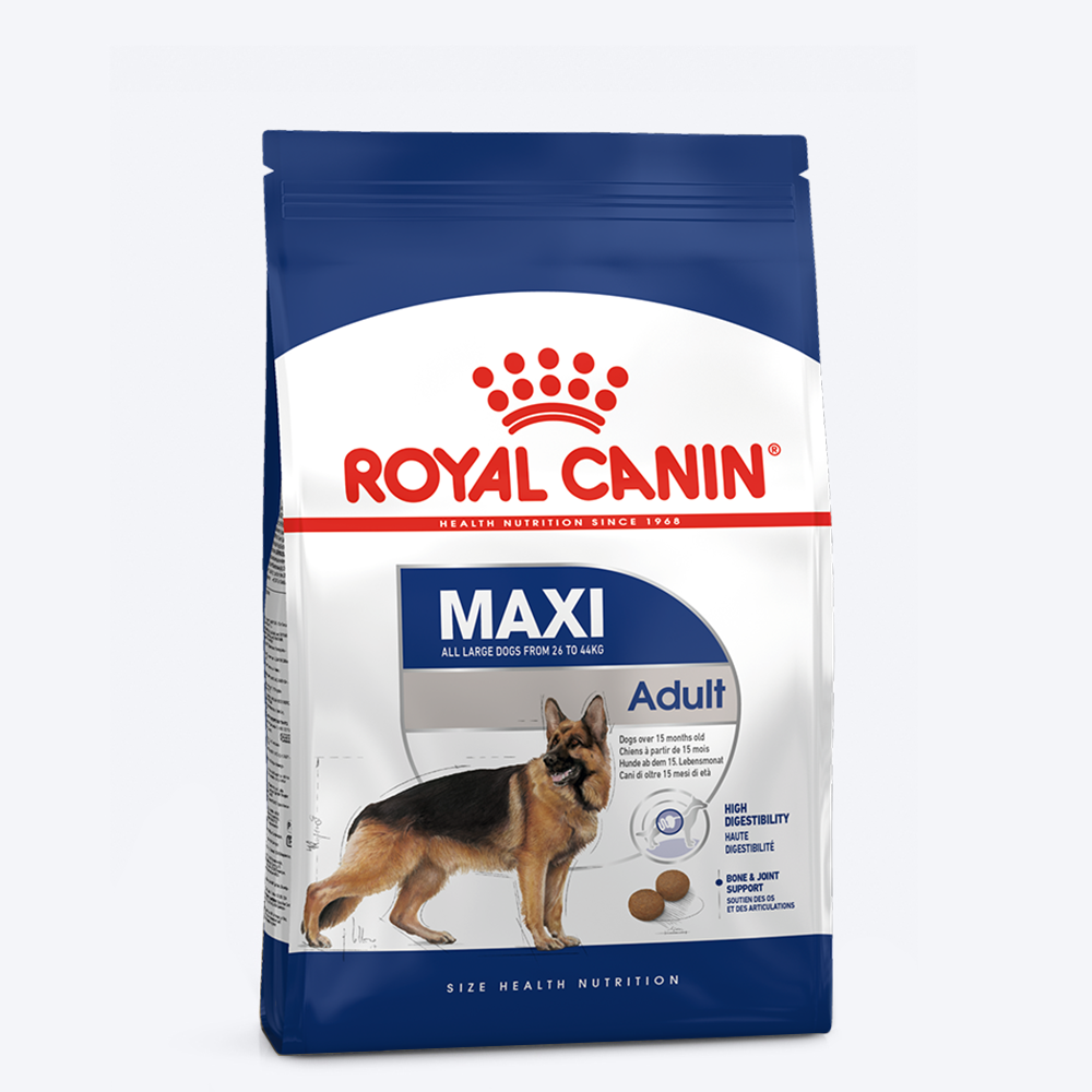 Royal Canin Maxi Dry Food & YIMT Apple & Cinnamon Biscuits For Adult Dogs - Heads Up For Tails