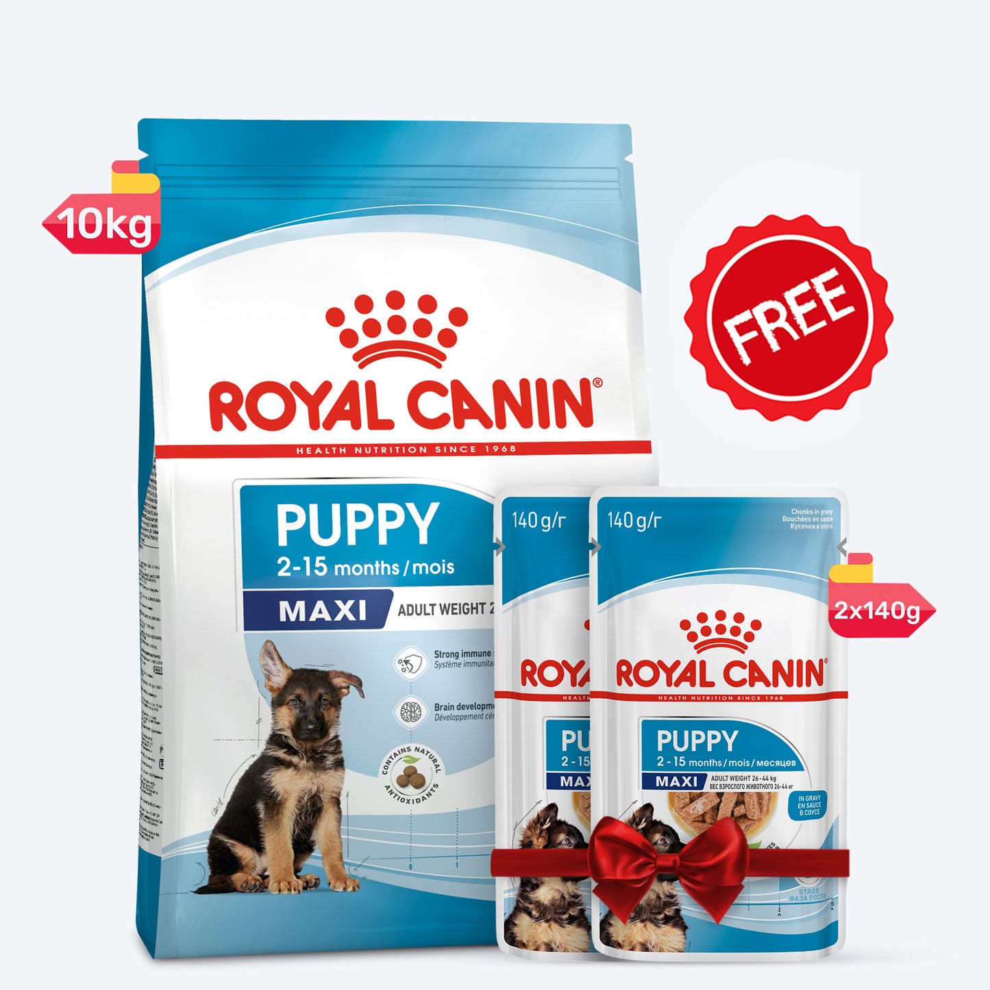 Royal Canin Maxi Dry & Wet Food Combo For Puppy - 10 kg