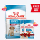 Royal Canin Medium Puppy Dry Dog Food