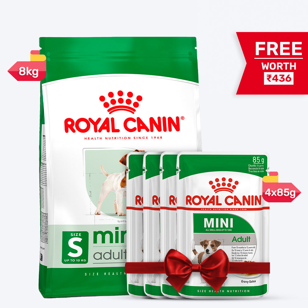 Royal Canin Mini Adult Dry Dog Food