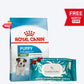 Royal Canin Mini Puppy Dry Dog Food