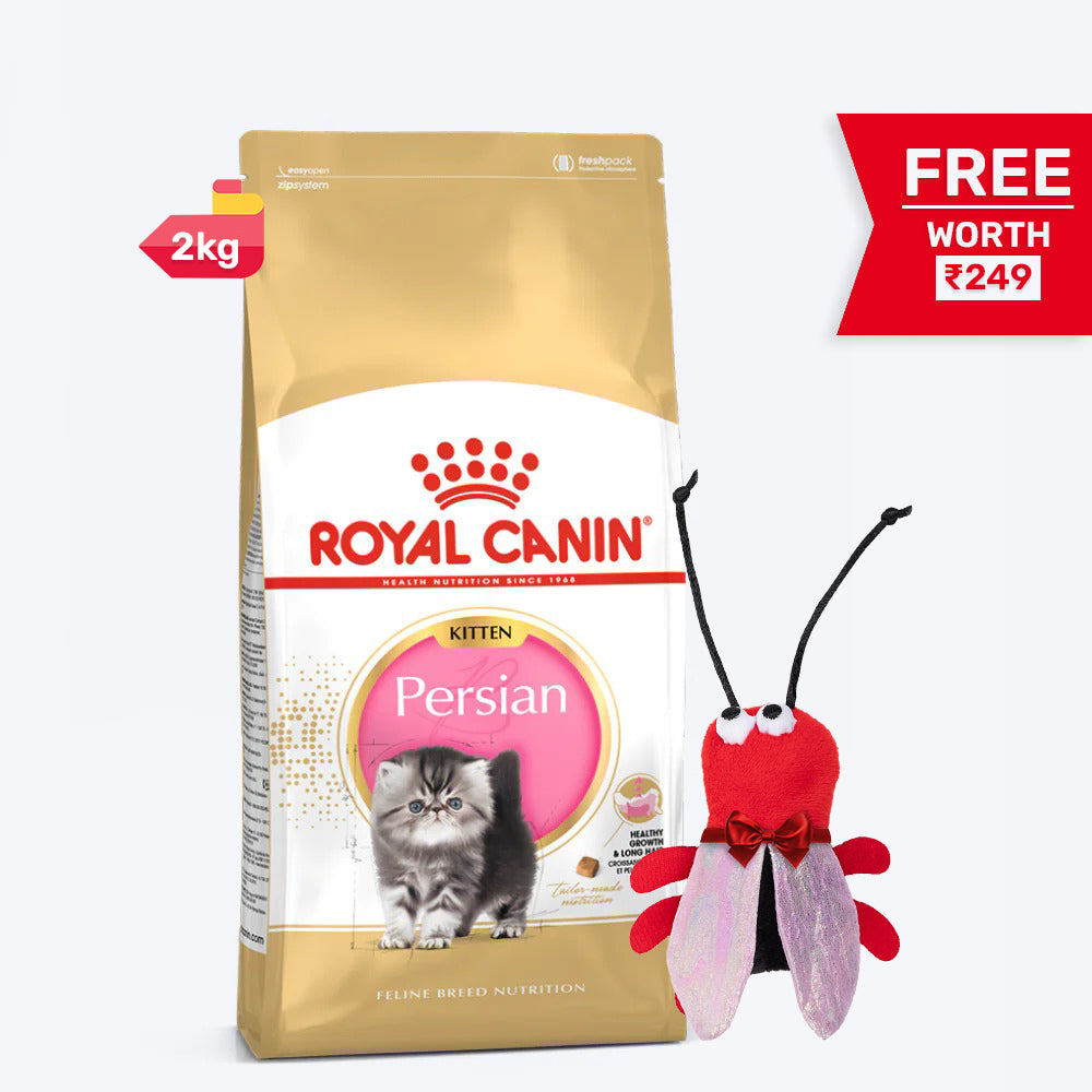 Royal Canin Persian Kitten Dry Cat Food