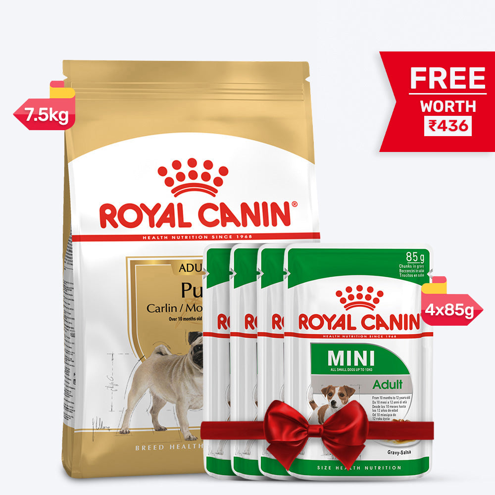 Royal Canin Pug Adult Dry Dog Food - Heads Up For Tails