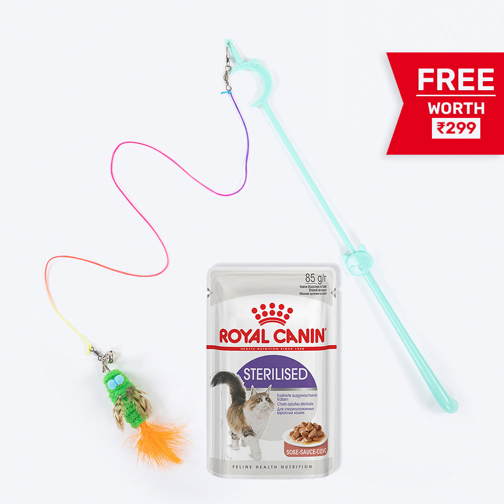 Royal Canin Sterilised/Neutered Wet Cat Food - 85 g packs - Heads Up For Tails