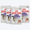 Royal Canin Sterilised/Neutered Wet Cat Food - 85 g packs - Heads Up For Tails