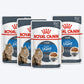 Royal Canin Ultra Light Wet Cat Food - 85 g packs