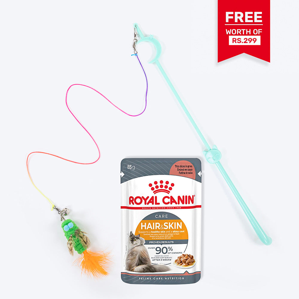 Royal Canin Hair & Skin Care In Gravy Adult Cat Wet Food - 85 g