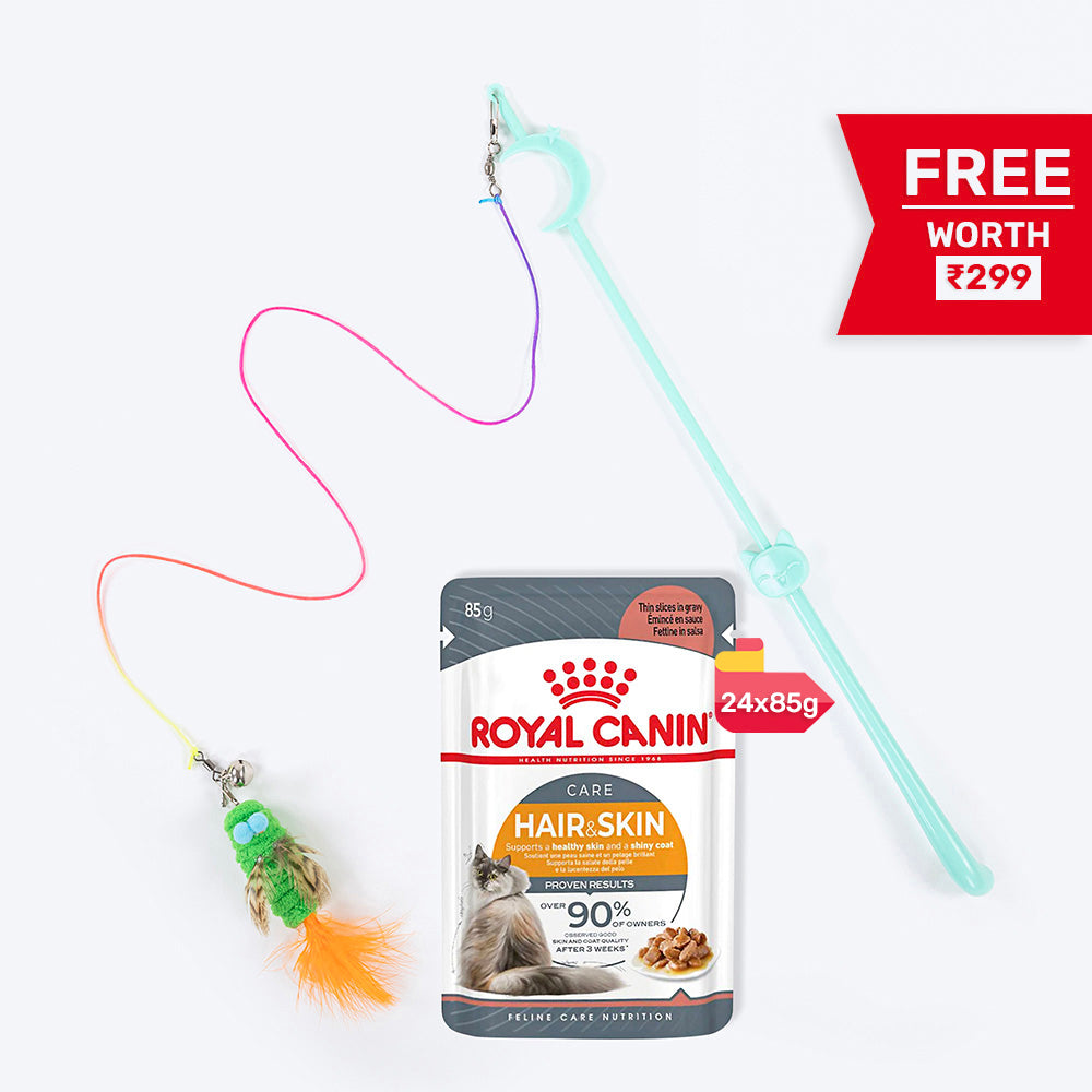 Royal Canin Hair & Skin Care In Gravy Adult Cat Wet Food - 85 g