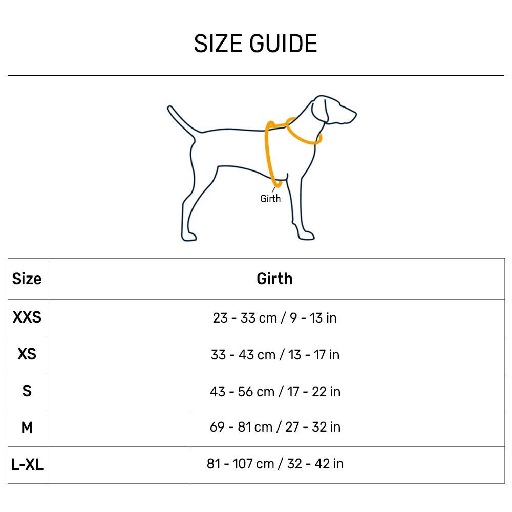 Ruffwear Hi & Light Dog Harness - Blue Atoll - Heads Up For Tails