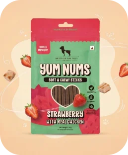 Strawberry & Chicken