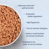 Sara's Wholesome Hypoallergenic Diet Pork & Quinoa Dog Wet Food, 300 g, features farm-fresh ingredients and low fat.