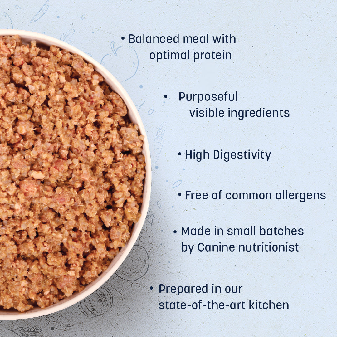 Sara's Wholesome Hypoallergenic Diet Pork & Quinoa Dog Wet Food, 300 g, features farm-fresh ingredients and low fat.