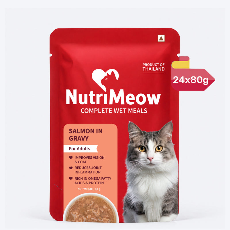 NutriMeow Salmon In Gravy Wet Food For Adult Cat - 80 gm