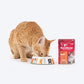 NutriMeow Salmon In Gravy Wet Food For Adult Cat - 80 gm