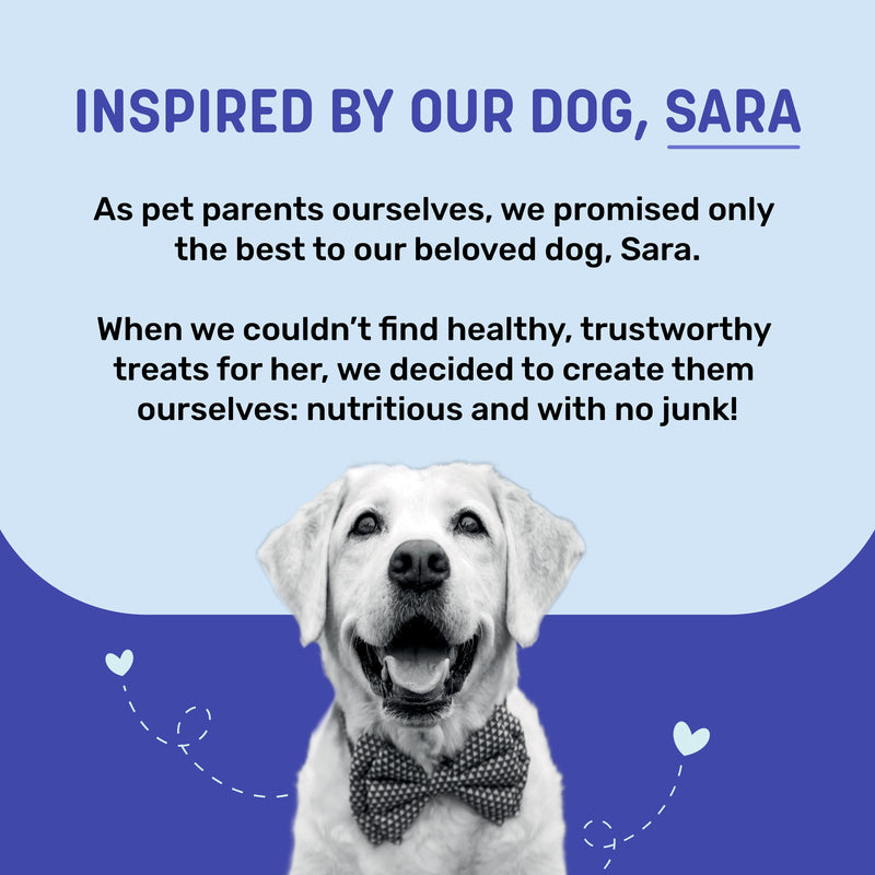 Sara's Doggie Treats Chicken Jerky with Blueberry, 70 gm, high protein, low fat, made with natural ingredients.