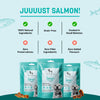 Sara's Doggie Treats Dehydrated Salmon Jerky, 70 gm, features a teal packaging with a smiling dog and fish illustrations.