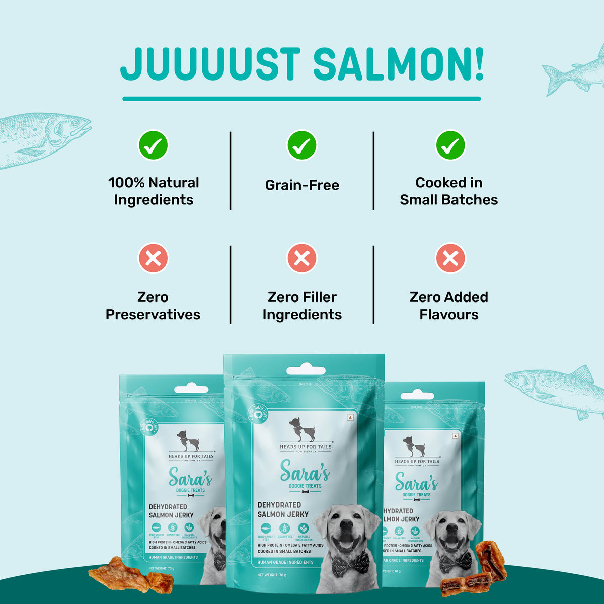 Sara's Doggie Treats Dehydrated Salmon Jerky, 70 gm, features a teal packaging with a smiling dog and fish illustrations.