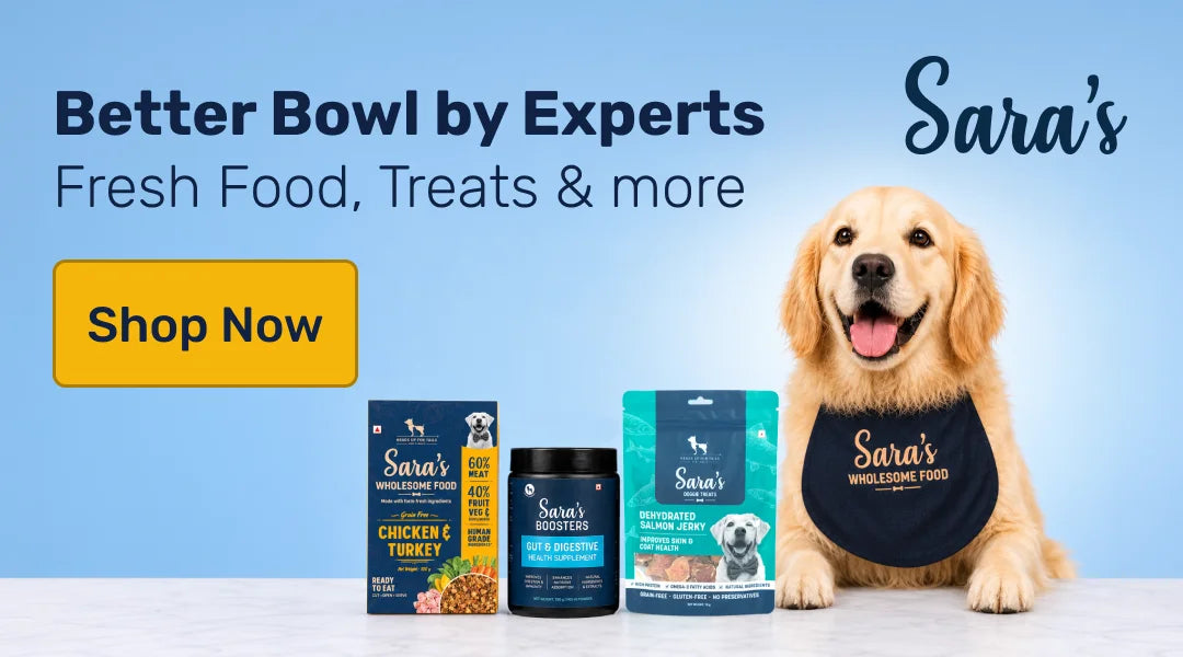 Sara's Pro Biotic Chews