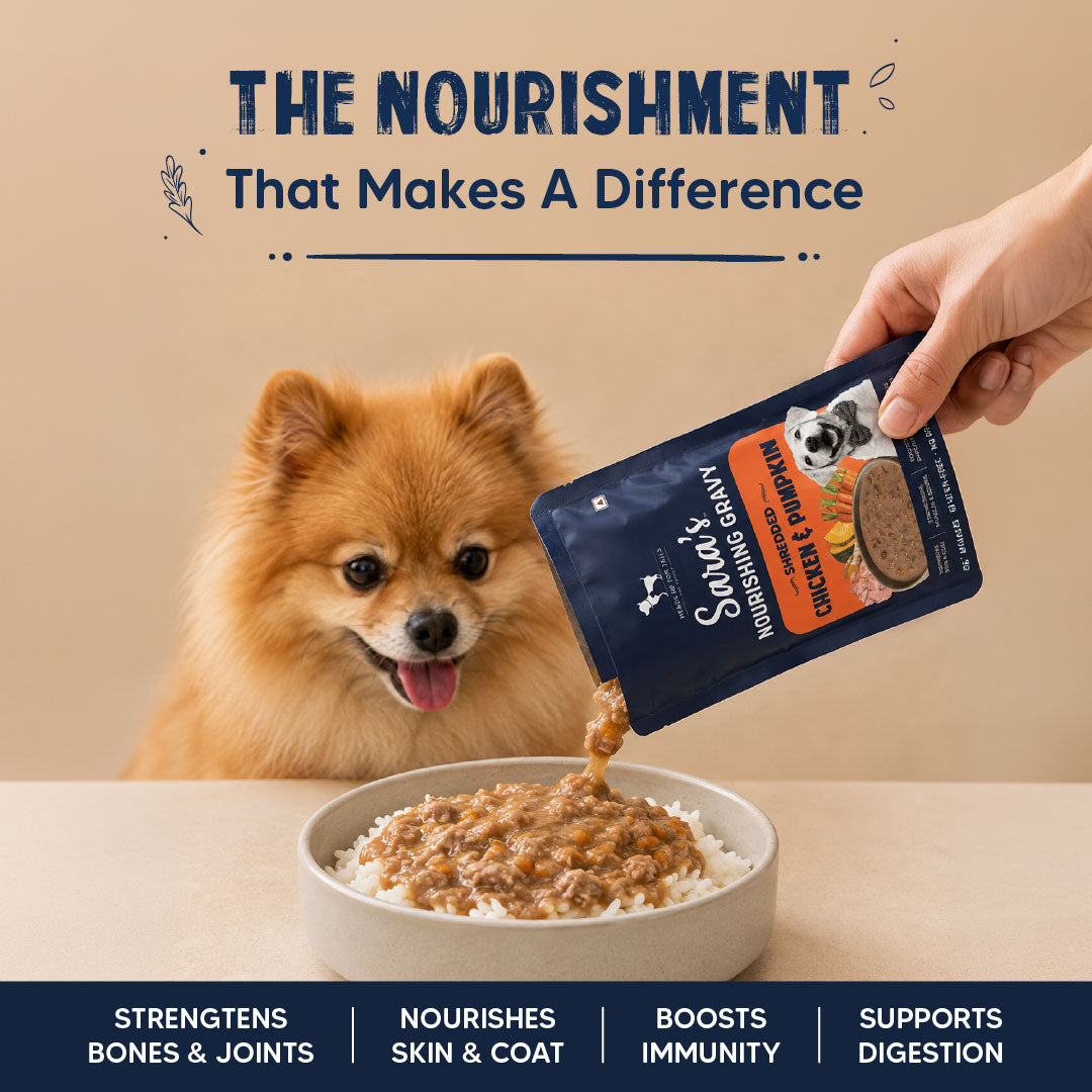 Sara’s Nourishing Gravy Shredded Chicken & Pumpkin Wet Food For Dog - Pack Of 15 (70 gm Each)