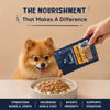 Sara’s Nourishing Gravy Chunky Chicken & Liver Wet Food For Dog - 70 gm