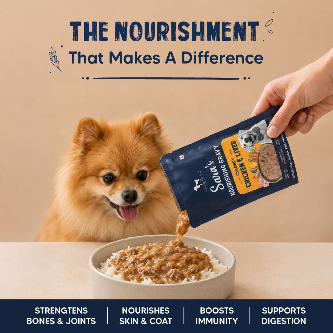 Sara’s Nourishing Gravy Chunky Chicken & Liver Wet Food For Dog - 70 gm