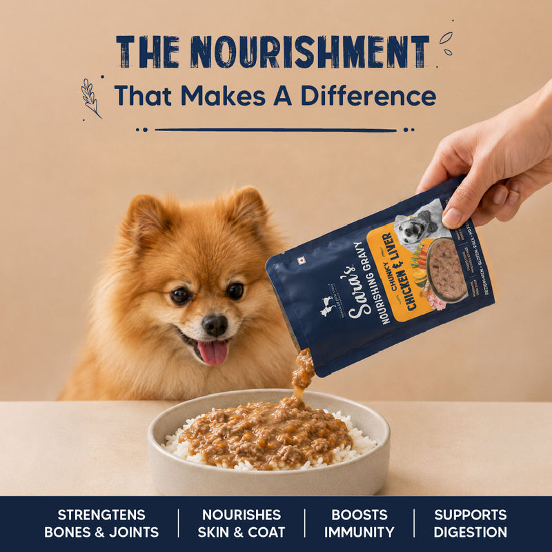 Sara’s Nourishing Gravy Chunky Chicken & Liver Wet Food For Dog - 70 gm