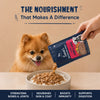 Sara’s Nourishing Gravy Chunky Lamb & Liver Wet Food For Dog - 70 gm