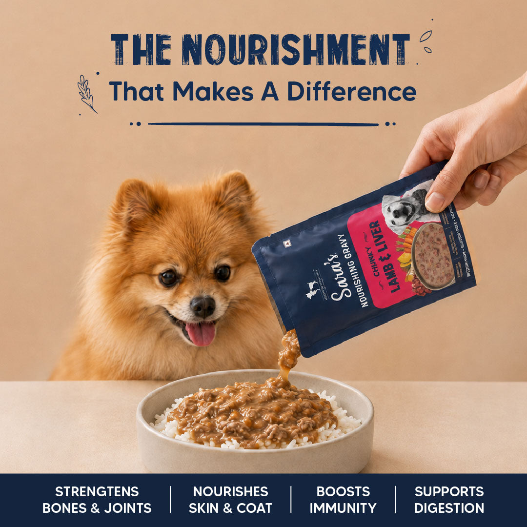Sara’s Nourishing Gravy Chunky Lamb & Liver Wet Food For Dog - 70 gm