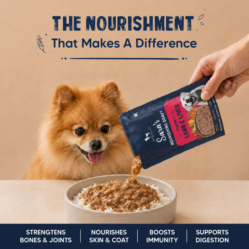 Sara’s Nourishing Gravy Chunky Lamb & Liver Wet Food For Dog - 70 gm