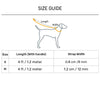 HUFT Rope Leash For Dog - Blue - Heads Up For Tails