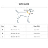 HUFT Martingale Collar For Dog - Cobalt Blue & Classic Black - Heads Up For Tails