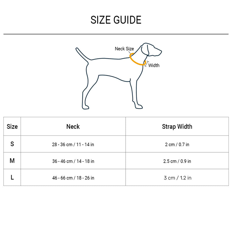 HUFT Martingale Collar For Dog - Cobalt Blue & Classic Black - Heads Up For Tails