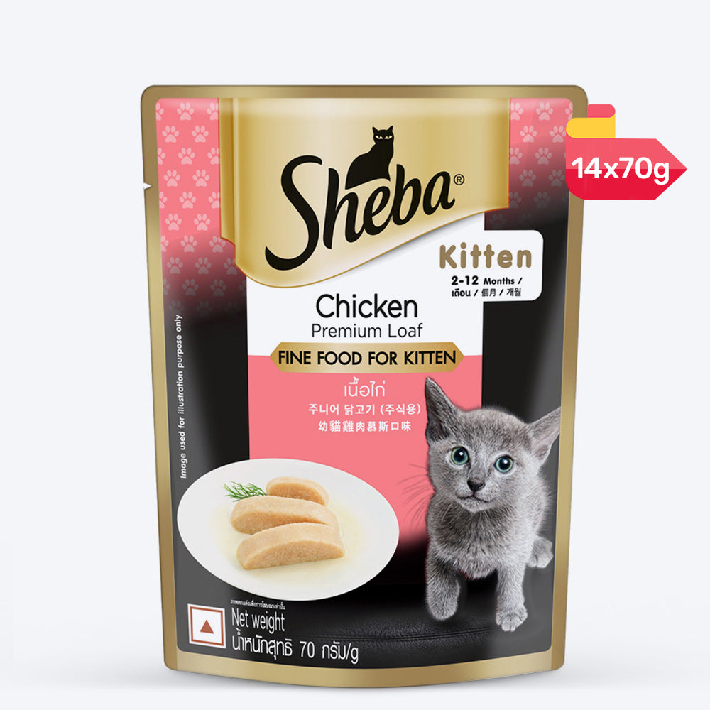 Sheba Chicken Premium Loaf Wet Kitten Food - 70 gm Packs