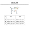 HUFT Walk Light Harness For Dog - Azure Blue - Heads Up For Tails
