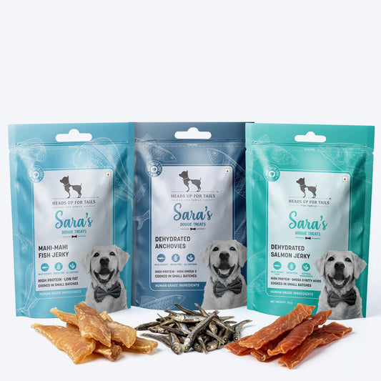 Skin & Coat Glow Combo For Dog - Heads Up For Tails