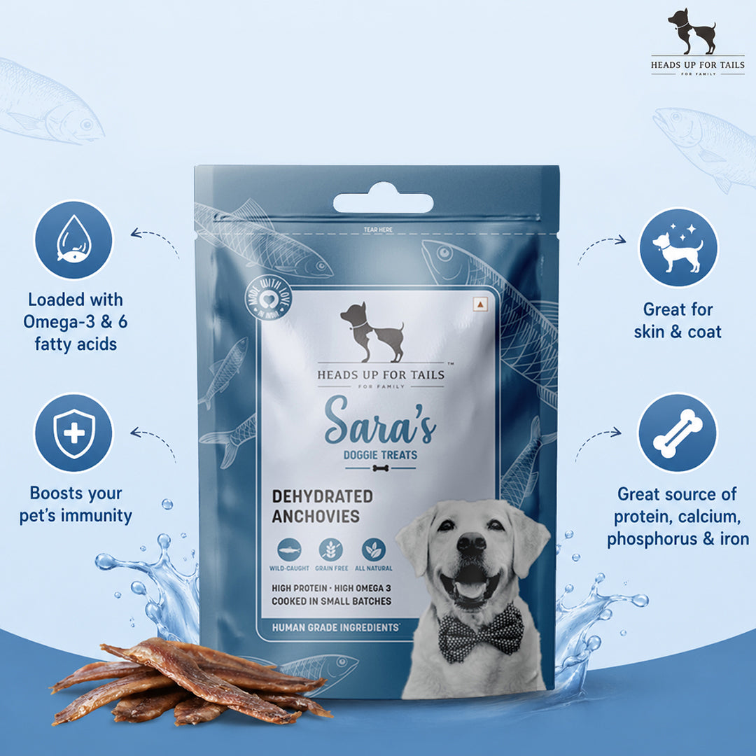 Skin & Coat Glow Combo For Dog - Heads Up For Tails