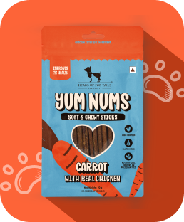 Yum Nums