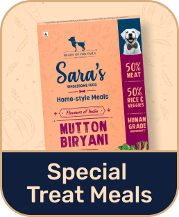 Special Meals