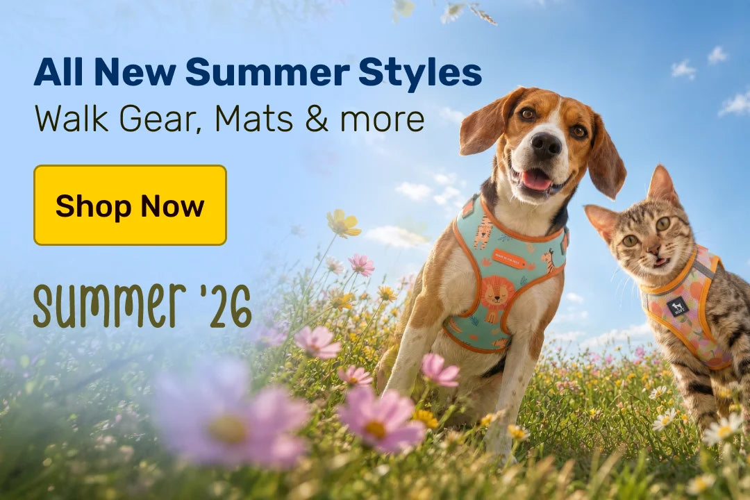 Summer Spring for HUFT