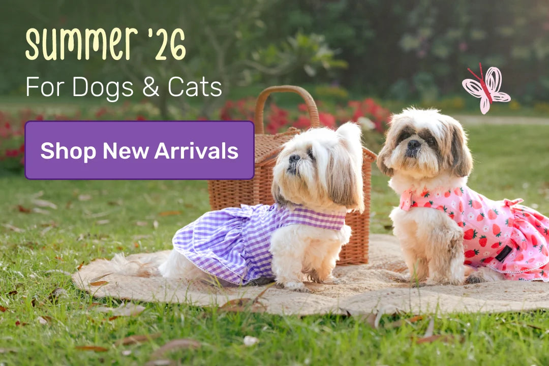 Summer Spring for HUFT