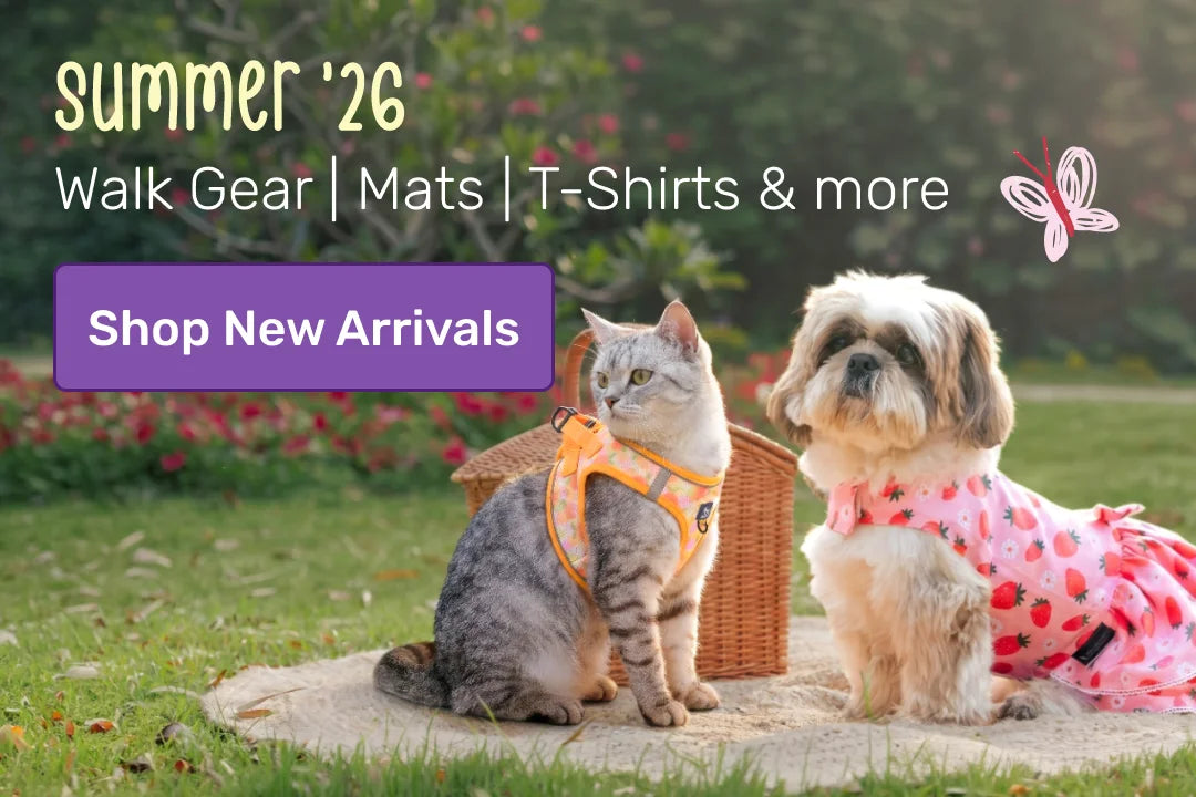 Summer Spring for HUFT