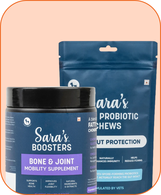 Supplements