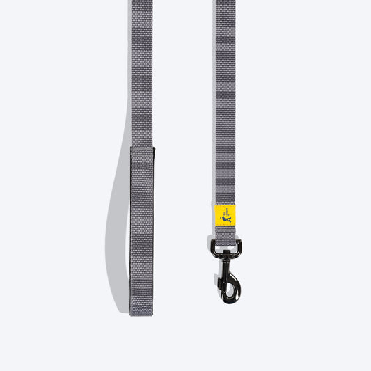 TLC Leash For Dog - Grey