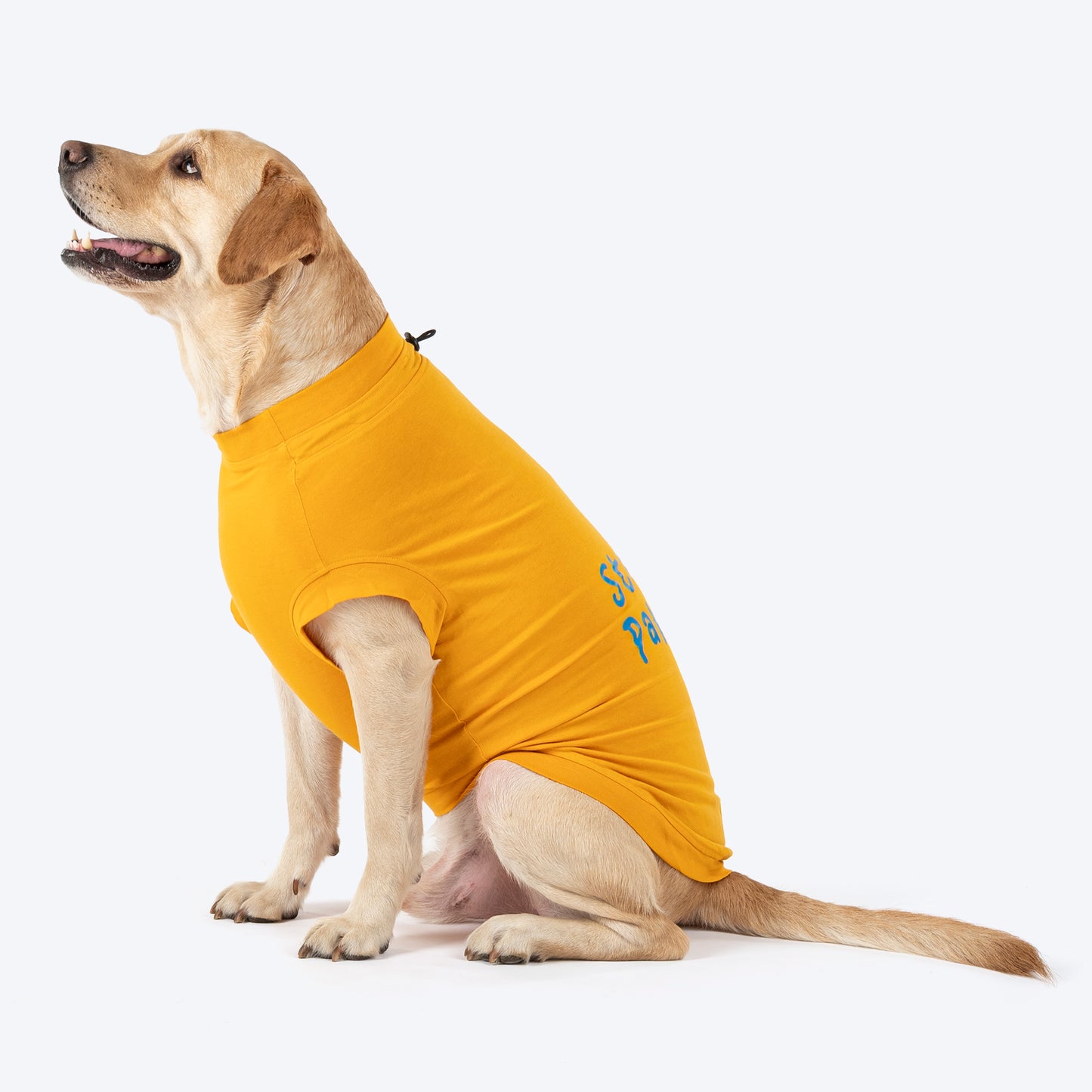 TLC Stay Pawsitive T-Shirt For Dog - Yellow_02