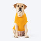 TLC Stay Pawsitive T-Shirt For Dog - Yellow_03