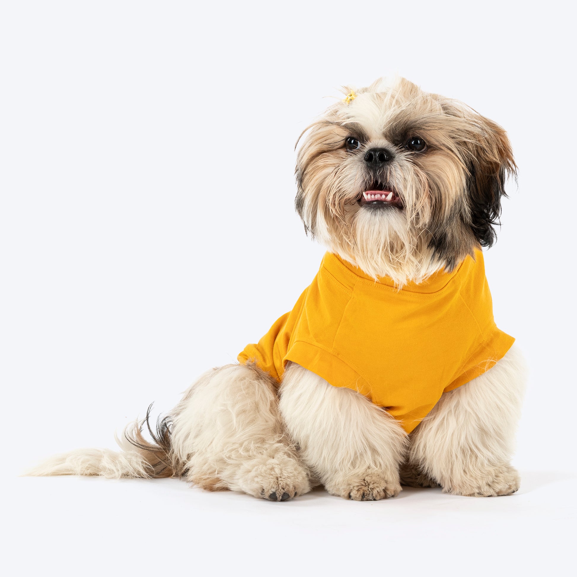 TLC Stay Pawsitive T-Shirt For Dog - Yellow_04